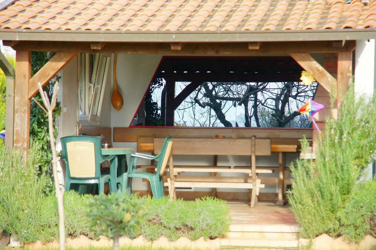Apartments Vjeko Porec