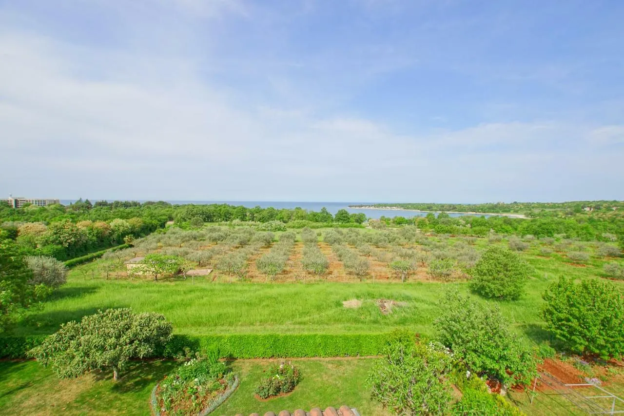 Apartments Vjeko Porec
